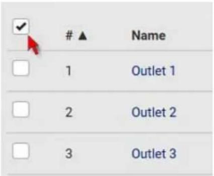 Raritan PX2-5524K2 - Outlets - 1