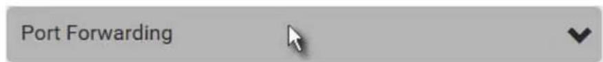 Raritan PX2-5524K2 - ▶ Cascading information in the Port Forwarding mode: - 3