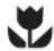 BeefEater BD16242 - IMPORTANT - 1