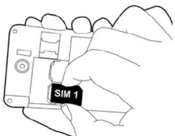 SIM 1