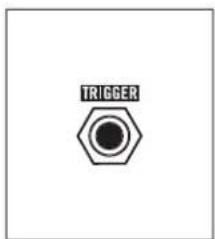 Moog Drummer From Another Mother - INPUT - 1