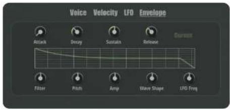 Voice Velocity LFO Envelope Attack Decay Sustain Release Cursin Filter Pitch Amp Wave Shape LFO Freq