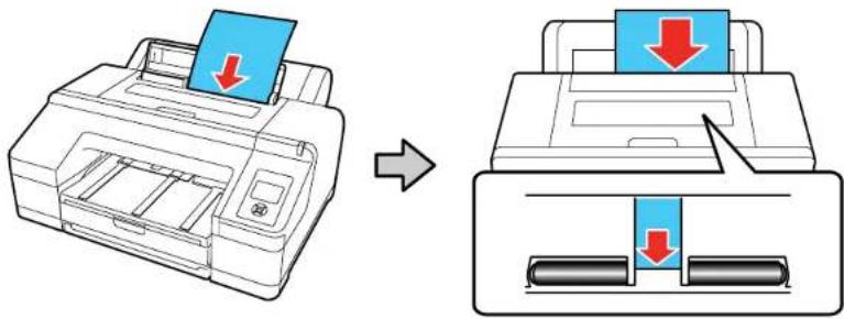 EPSON SureColor P50000Ce Plus - LoadingCutSheetsintheRearManualFeeder - 3
