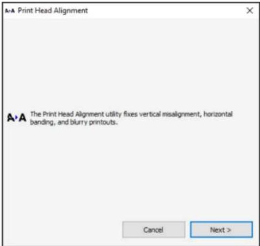 EPSON SureColor P50000Ce Plus - AligningthePrintHeadAutomaticallyUsingaComputerUtility - 1