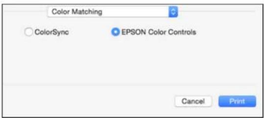 EPSON SureColor P50000Ce Plus - ManagingColor-Mac - 1