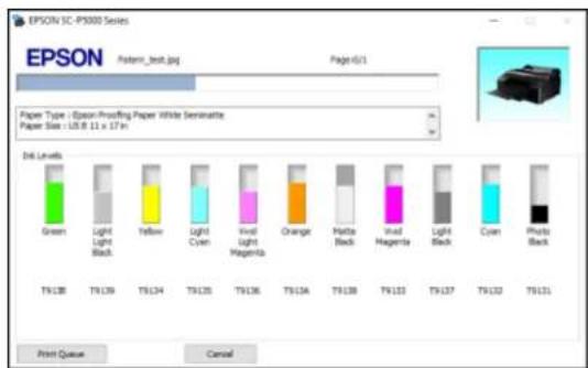 EPSON SureColor P50000Ce Plus - CheckingPrintStatus-Windows - 1