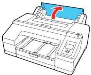 EPSON SureColor P50000Ce Plus - LoadingRollPaper - 1