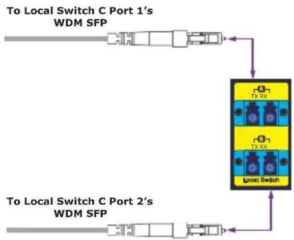Planet IFB-244 Series - Optical Fiber Connection - 5