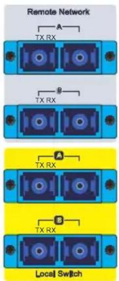 Planet IFB-244 Series - Optical Fiber Connection - 1