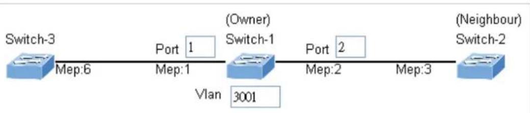 Planet WGS-5225-8T2SV - Set ERPS Configuration on Switch 1 - 1