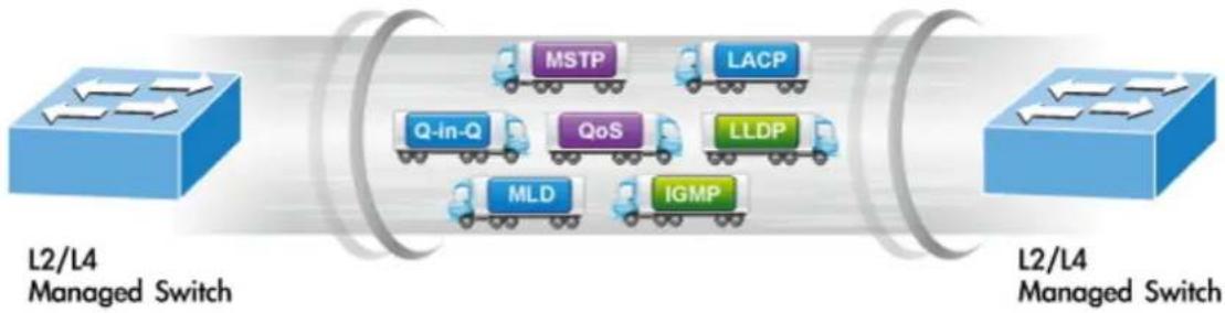 Planet WGS-5225-8T2SV - Robust Layer 2 Features - 1