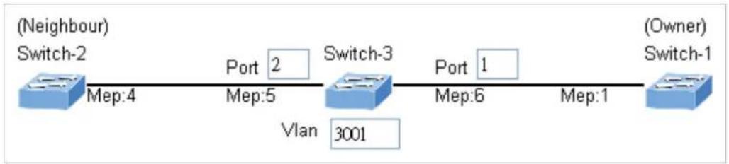 Planet WGS-5225-8T2SV - Set ERPS Configuration on Switch 3 - 1