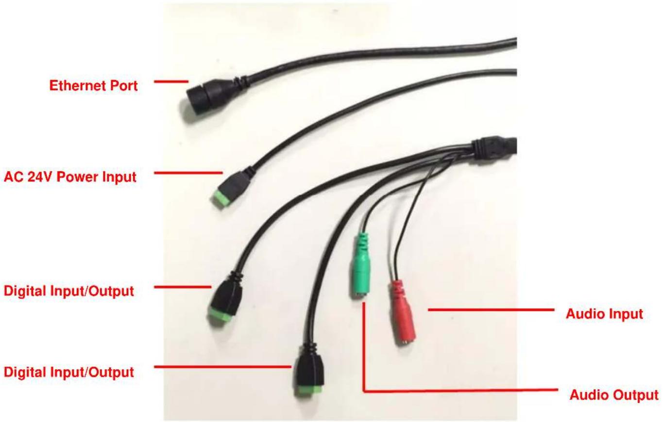 Planet ICA-E6260 - Identification of ICA-E6260 Rear Panel and Connectors - 2