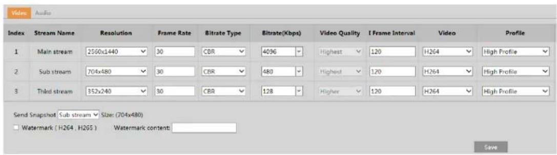 Speco Technologies O4FB2 - Video / Audio Configuration - 1