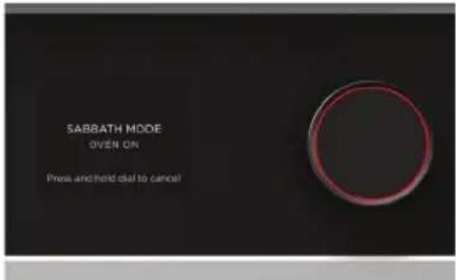 Fisher & Paykel OM60NMTNB1 - Cancelling Sabbath Mode - 1