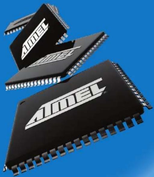 Microchip AT32UC3B064 - AVR32 - 1
