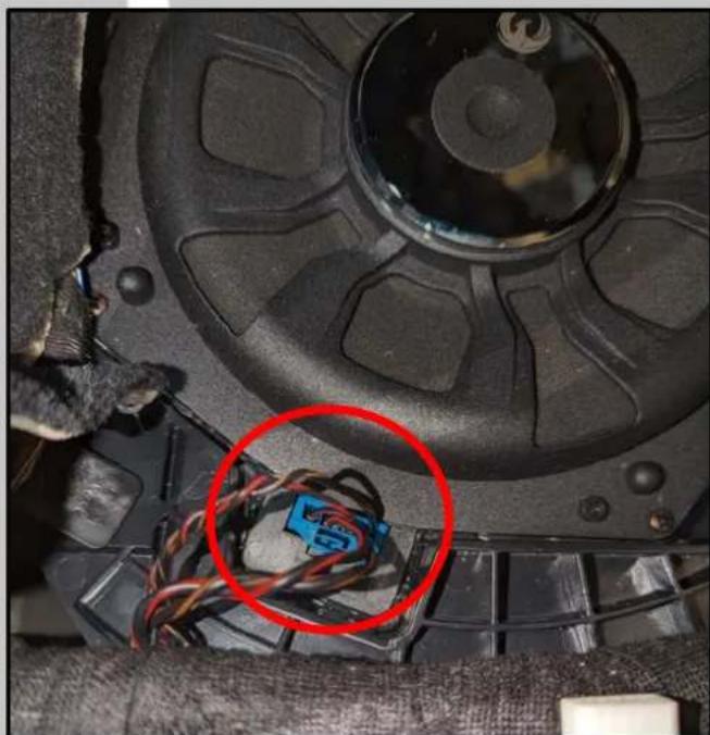 PHOENIX GOLD ZDSB200S - Connect the speaker connector - 1