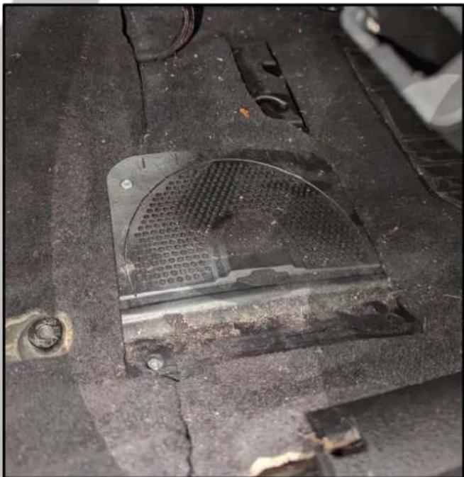 PHOENIX GOLD ZDSB200S - Screw back the woofer grill - 1