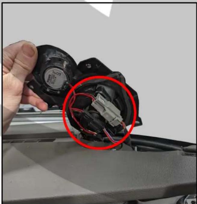 PHOENIX GOLD ZTSV65 - Disconnect the speaker connectors - 1