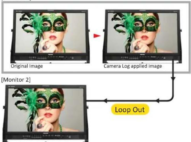 Postium OBM-N420 - Camera Log Mapped SDI Loopout - 1