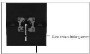 Stand mount locking screw