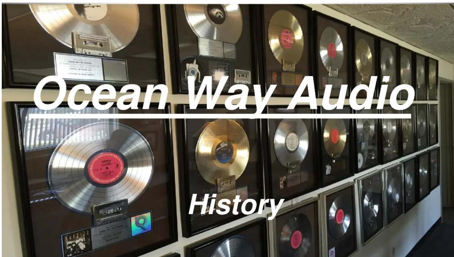 Ocean Way Audio Pro2A - Do not use alcohol or ammonia based cleaners. - 1
