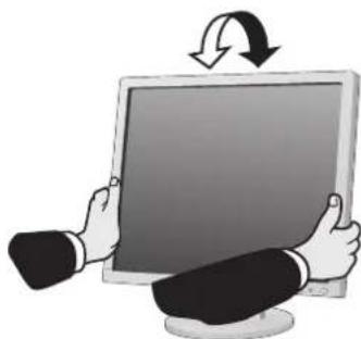 SHARP AccuSync AS173M - Adjustable Monitor Stand Capability - 1
