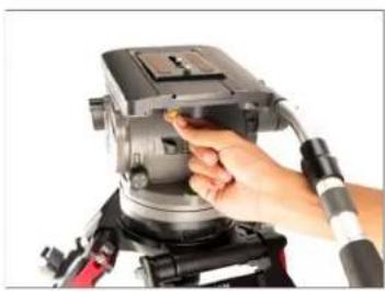 Proaim P-LLBT-150 - Telescopic design provided with one-stage height adjustment - 7