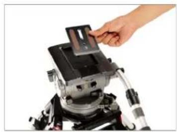 Proaim P-LLBT-150 - Telescopic design provided with one-stage height adjustment - 8