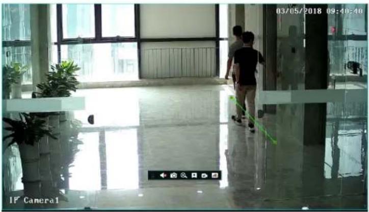 Speco Technologies N16WNRMM - Smart Playback Based on Motion Detection - 1