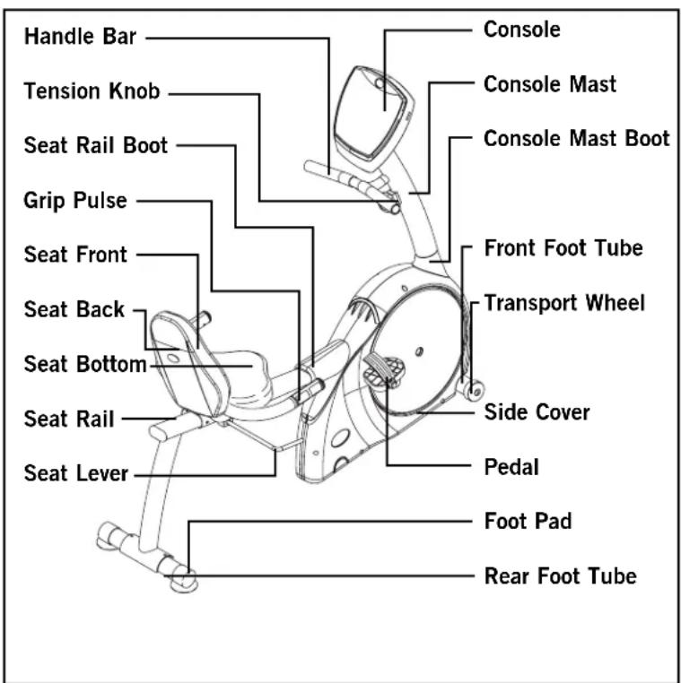 Horizon Fitness Elite 3.1R - CONGRATULATIONS! on choosing a recumbent bike. - 1