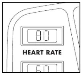 Horizon Fitness Club CSE3HR - HEART RATE - 1