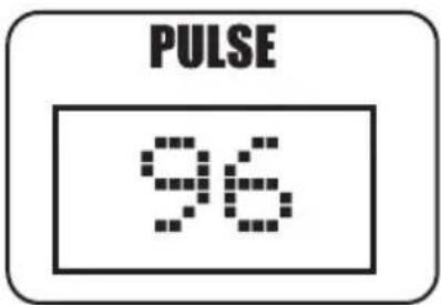 Horizon Fitness ESC2 - PULSE - 5