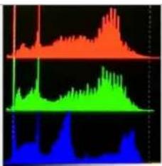 Ikegami ULE-702-HDR - - Histogram - 2