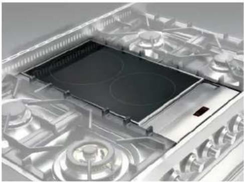 ILVE MD10FDNE3SSC - INDUCTION PLATE - 1