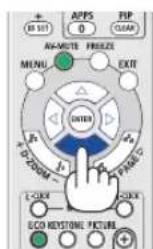 SHARP PE506WL - Press the D-ZOOM (+) button to magnify the picture. - 5