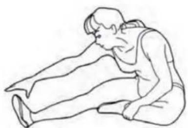 BodyCraft SCT400g - Hamstring Stretches - 1
