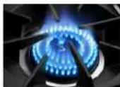 Capital CGRT366-L - CULINARIAN BURNERS - 1
