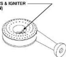 Capital CGRT366-L - ELECTRONIC IGNITERS - 1
