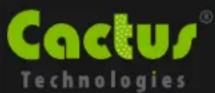 Cactus 203 - Introduction to Cactus Technologies 203 Series Industrial Grade FlashDrive Products - 1