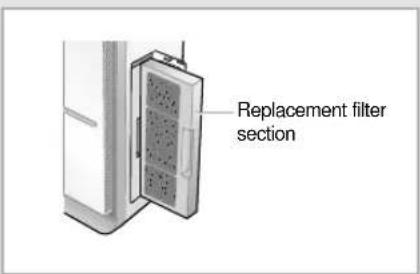 Replacement filter section