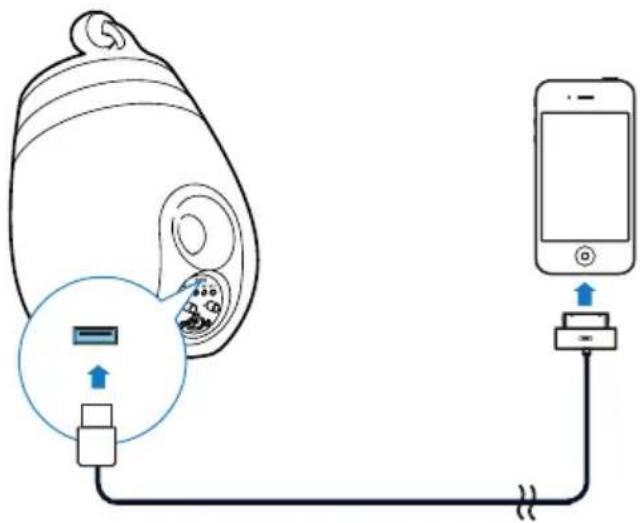 PHILIPS DS9800WS - 注 - 1