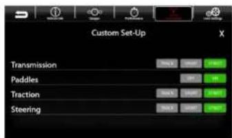 Custom Set-Up Transmission Paddles Traction Steering