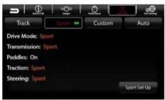 Track Drive Mode: Sport Transmission: Sport Paddles: On Traction: Sport Steering: Sport Custom Auto Sport Set Up