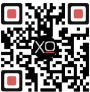 XO XOPIZZA1GAS - OPTIONAL COOKING TOOLS (XOPIZZATOOL4) - 2