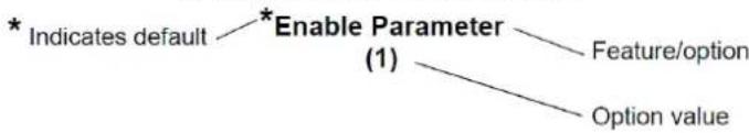 graph TD A["* Indicates default"] --> B["* Enable Parameter"] B --> C["Feature/option"] B --> D["Option value"]