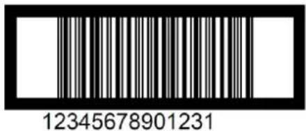 12345678901231