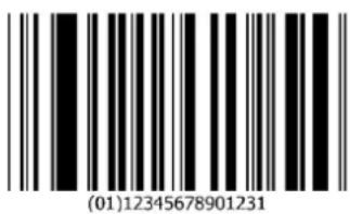 (01)12345678901231