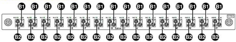 Extron FOX Matrix 320x - 3G/HD/SD-SDI boards - 1