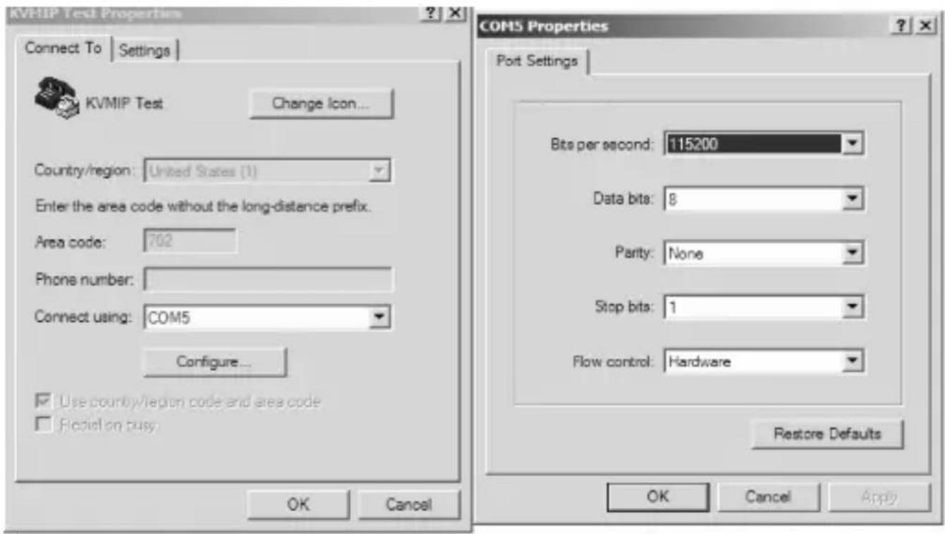StarTech.com CABCONS1716I - Terminal Configuration Using a Serial Cable - 1